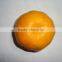 Citrus orange baby mandarin orange with wholesales price