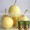 2014 New Crop pear Canned Fruit and vegetable in Heavy Syrup