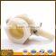 new type beekeeping plastic honey gate from the manufacturer