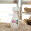 fashion small flower pot beautfiful home decoration
