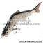 hard body plastic artificial bait jointed swim fishing lures