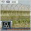 Factory price razor barbed wire/plastic razor barbed wire/anti climb fence