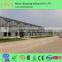 low cost plastic greenhouse from china polyethylene film greenhouse vegetable greenhouses