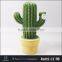 New style Green plants Cactus led night light decoration