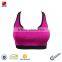 Wholesale Custom Breathable Sexy Sport Bra/ Ladies Yoga Bra/Women Sportwear