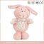 Promotional plush pink teddy bear