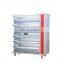 Stainless Steel Gas Chicken Rotisseries /Grill Chicken Gas Oven for Sale