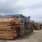 BEST PRICE - acacia timber - eucalytus timber - timber factory