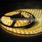 High lumens IP65 waterproof led strip light wholesale White black light led strip