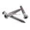 plastic pan torx head self tapping screws for plastic