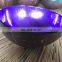 Eco Friendly Lacquer Inside Coconut Shell Bowls Wholesale in bulk coconut fruit bowl made in Vietnam