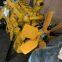 Wholesale 178kw WD10G240E203 Diesel Motor Weichai Engine With Competitive Price