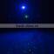 Garden Tree and Wall Decoration Outdoor Laser Spot Lights for Holiday Lighting (Green and Blue Leds))