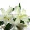 Fashionable Siberia white lily bouquet