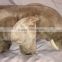Large-Plush-Elephant-By-Animal-Planet-Stuffed-Animal-Collectable-Wild-Life