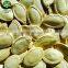 New Crop Shine Skin Pumpkin Seed And Kernel