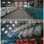 Alternator generator for sale power by UKperkins engine from 10Kw to 1700Kw