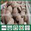 Best seller High Yield China Supplier ISO9001 Certified Mushroom Shiitake Grow Log Cultivation Kits