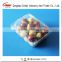 Blister Plastic packaging container for strawberry blueberry 350 gram