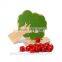 Wooden Magnetic Apple Tree