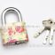 Color painted Disc mechanism high quality padlock