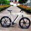 mountain electric bicycle