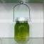 Christmas gift for kids nice green color bottle shape solar portable firefly led light jar