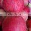 hot sale fruits and vegetables qinguan apples in stock