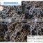 Marine Stud Link Anchor Chain with CCS Certificate Approval