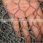 chicken wire mesh Hot dipped galvanized hexagonal wire mesh