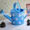 Wholesales colored oval indoor decoration watering pot / watering flower can
