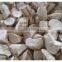 Tapioca Chips Viet nam _ QQ : 2598494113