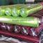 Thermal Transfer Color Ribbon Jumbo Roll