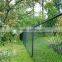 PVC Coated 50X50mm 100X100mm Chain LinkFence(PVC &Galvanized)