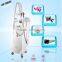 Latest products in market shape and slim Spa use lipocryo criolipolisis machine freeze fat, criolipolisys machine