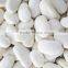 different types dried beans white kidney beans