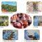 Hebei fresh chestnuts