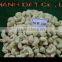 Vietnamese Cashew Kernels Best Price