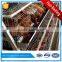egg laying hens cage for hen house in dubai