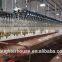 Broiler chickens process equipment Bph500-10,00