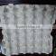 waterproof package paper egg packing tray