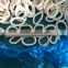 IQF Pacific squid tube rings
