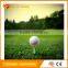 Customozed promotional golf ball for Christmas gift