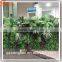 Hot Sale Plastic Grass Wall Artificial Plant Wall for Indoor Decoration