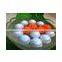 NEW Practice colored Golf Floating Balls for the Pool or Back Yard