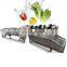 Fresh Fruits and Vegetables Bubble Washing Machine