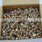 Metric hex head self drilling screws