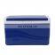 GiNT 5L Manufactory Eco Friendly Ice Chest Durable Cooler Box Portable Ice Chest for Christmas