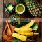 Frozen Pineapple Pattavia, Phuket (Ananas comosus)
