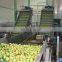 Apple ginger juice extracting machine belt press and squeezing machine